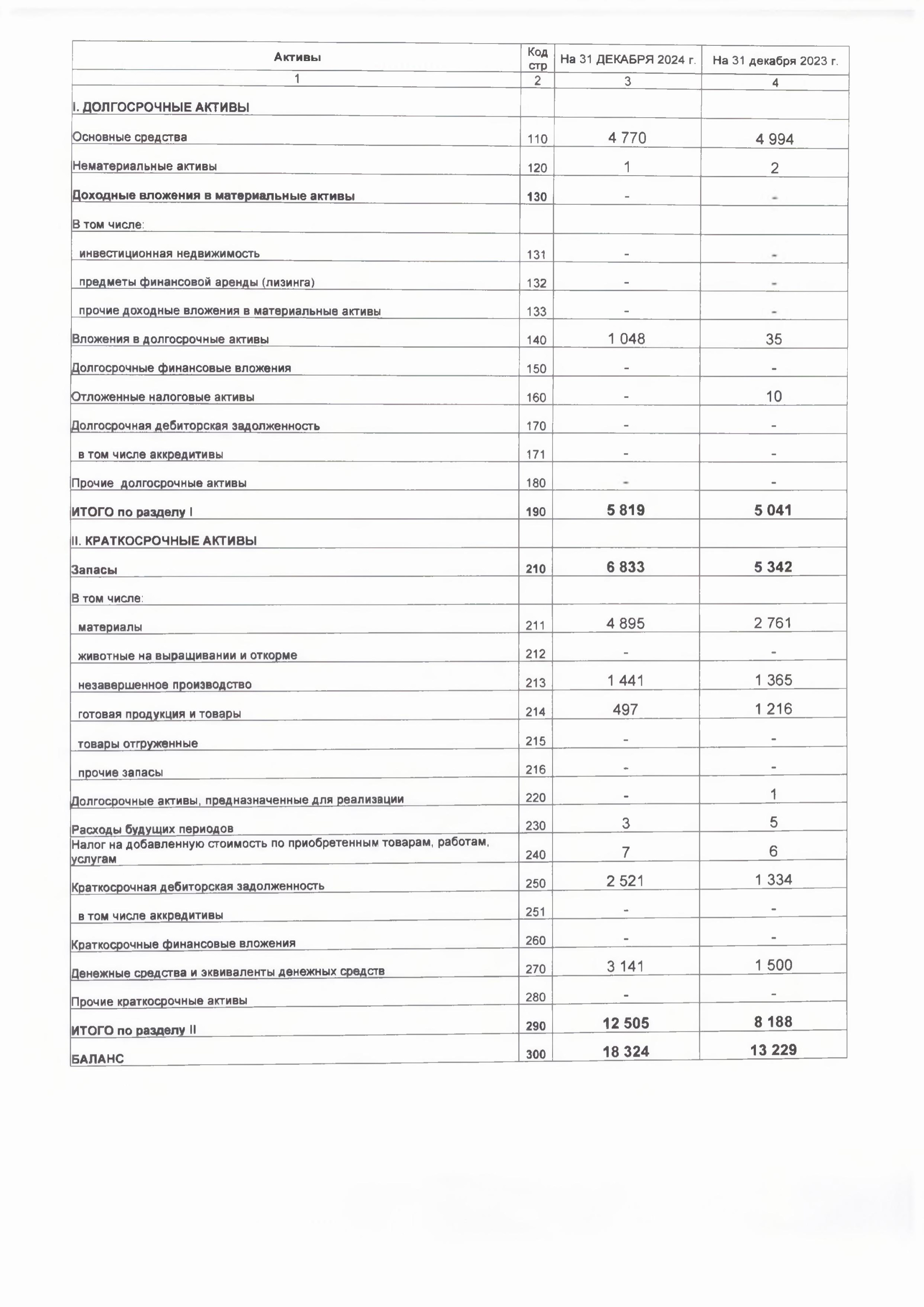 Бух. баланс с приложениями-изображения-1.jpg
