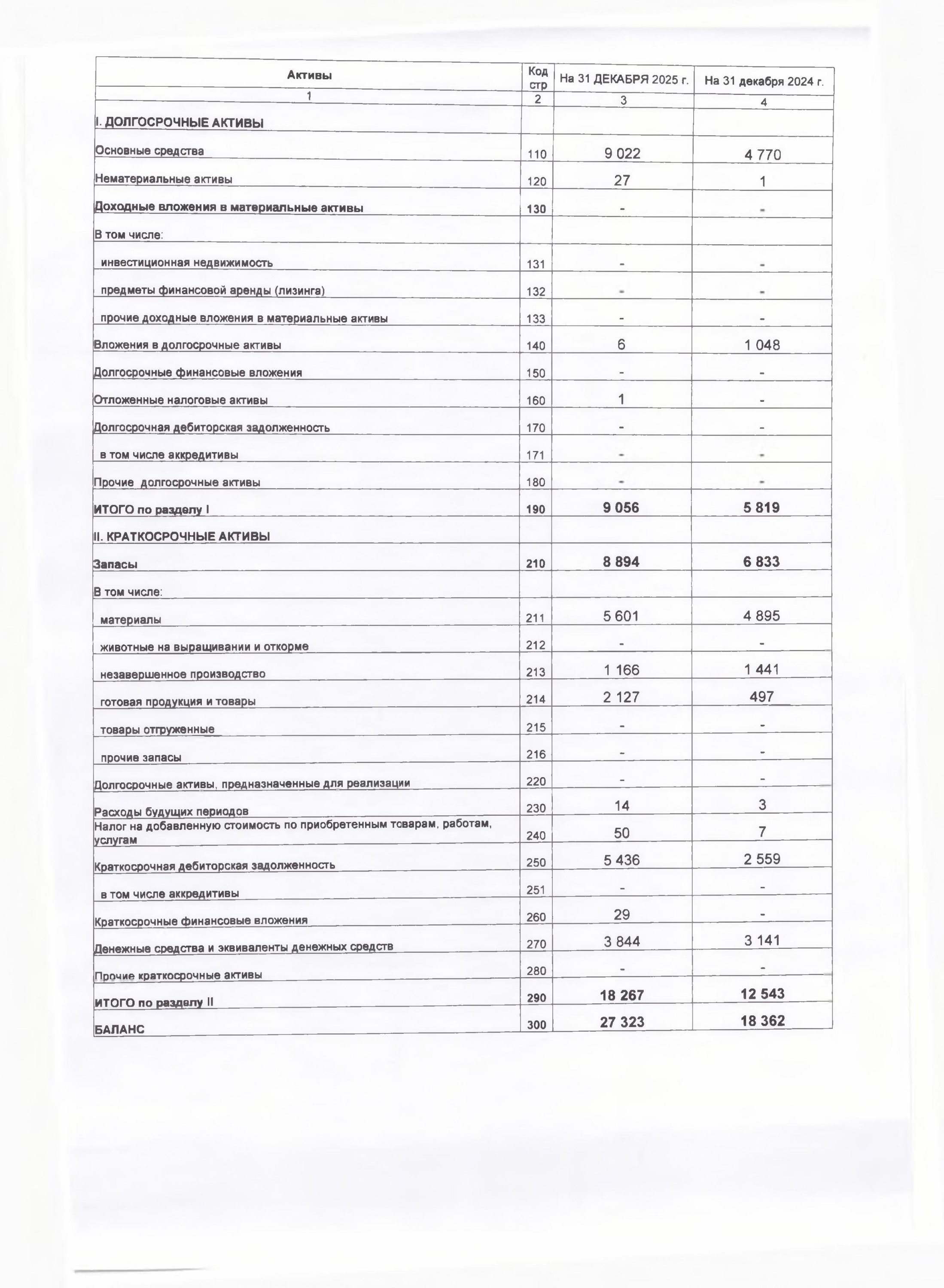 Бух. баланс с приложениями-1.jpg